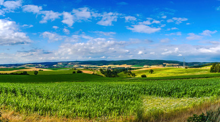 Cornfield in Germany © Birgit Reitz-Hofmann