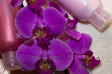Saved purity and relaxation procedures, a set of purity with the scent of orchids