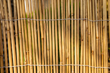 background texture of bamboo rods