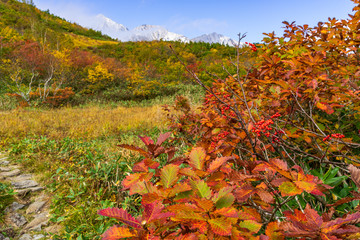 【長野県】秋の八方尾根　白馬三山