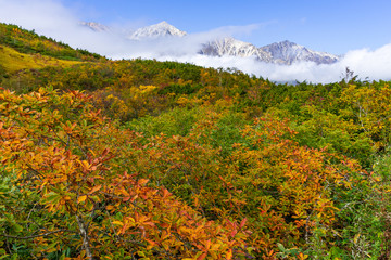 【長野県】秋の八方尾根　白馬三山