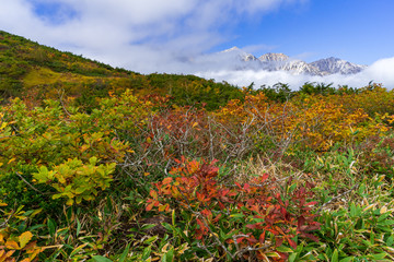 【長野県】秋の八方尾根　白馬三山