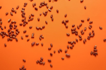 Tasty peanuts on color background
