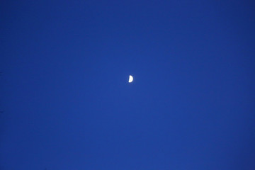 夜明けの月