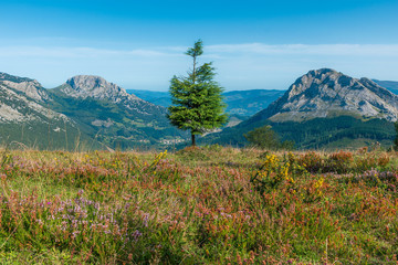 Alone between two giants, in Natural Park of Urkiola, Basque Country