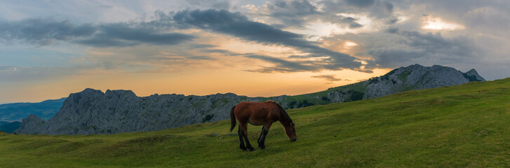 Fototapeta na wymiar Alone in the sunset, in Urkiola Natural Park, Basque Country