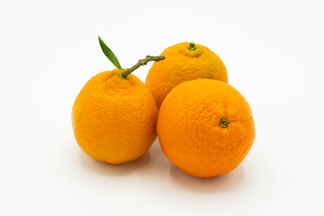 Tangerines or clementines with green leafs isolated on white background