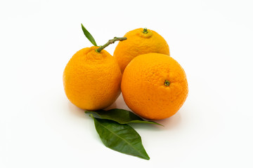 Tangerines or clementines with green leafs isolated on white background
