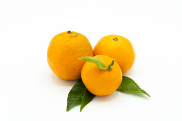 Tangerines or clementines with green leafs isolated on white background