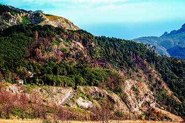Fototapeta na wymiar Parco regionale dei monti Lattari. Regional mountain park in Italy, Campania, Amalfitana