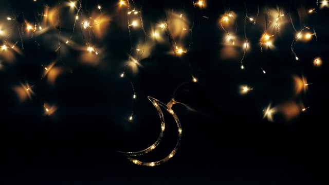 The Christmas tree garland shimmers like the night sky. The moon will soon rise. Lights in the form of a night sky or Christmas frame.