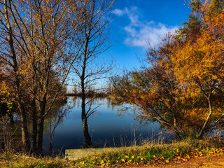 Fototapeta premium park