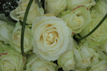 Big white wedding roses