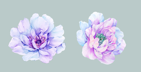 Elegant purple watercolor flower illustration