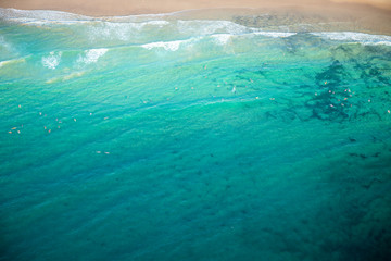 Obraz na płótnie Canvas Bondi beach Top down aerial of Sydney