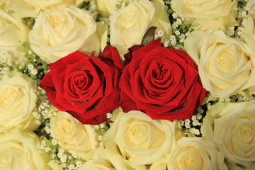 red roses in a white bouquet