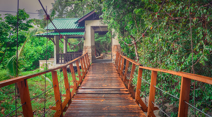 Obraz premium Footbridge at Penang national park, Malaysia. Panorama
