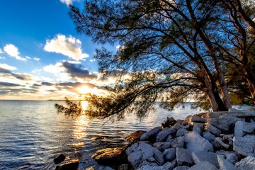 Ocean Sunset Behind Trees and Rocks