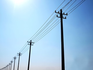 Silhouettes of trees and electric poles, several high-voltage lines. Beautifully arranged on a...