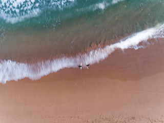 Two surfer couple on beach watching tide