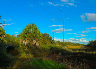 Obraz premium High tension electric lines on path