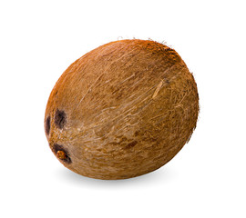 coconut isolated on white background