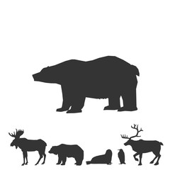 bear icon animal vector illustration for graphic design and websites