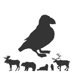 bird icon vector illustration for graphic design and websites