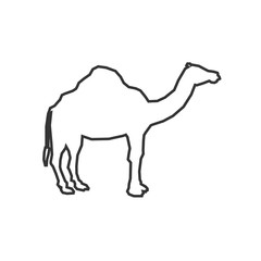 camel icon animal vector illustration for graphic design and websites