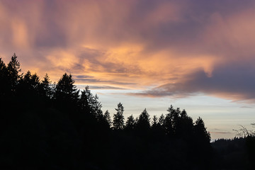 colorful sunset over dark shoreline and weeds in summer