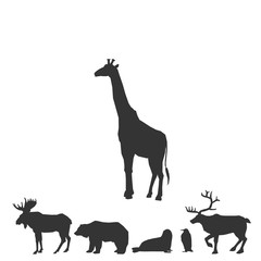 giraffe icon animal vector illustration for graphic design and websites