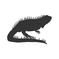 lizard icon vector illustration for graphic design and websites