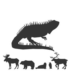 lizard icon vector illustration for graphic design and websites