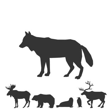 wolf icon animal vector illustration for graphic design and websites