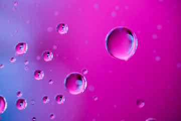 Water droplets on pink and purple background