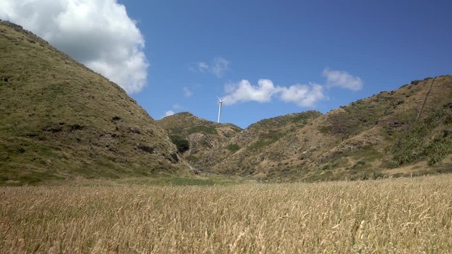 Wind turbine in Makara New Zealand, near Wellington