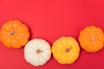 Halloween and Thanksgiving day pumpkins and leaves