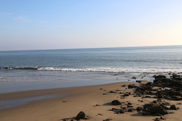 Santa Barbara Seagulls 