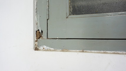 112 Black mold on window sill