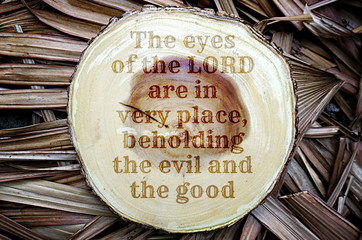 135 The eyes of the LORD are in every place, beholding the evil and the good. Top 500 Bible verses.