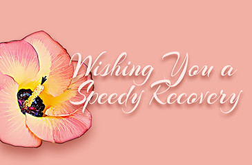 140 Wish you a speedy recovery with portia flower (Thespesia populnea)
