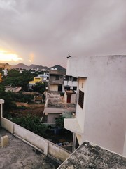 Pigeons sitting on the roof