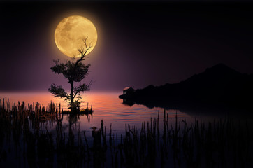 Beautiful moonlight in dark night