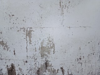 Stains of moss attached to the wall