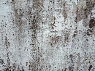 Stains of moss attached to the wall