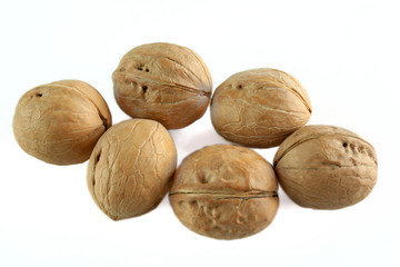 walnuts isolated on white background