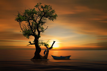 silhouette of a tree on the beach at sunset