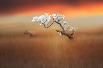 white leafy tree