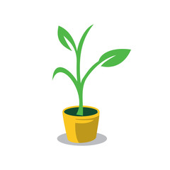 plant logo , tree logo