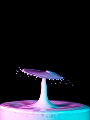 Water splash on black background, colorful droplets